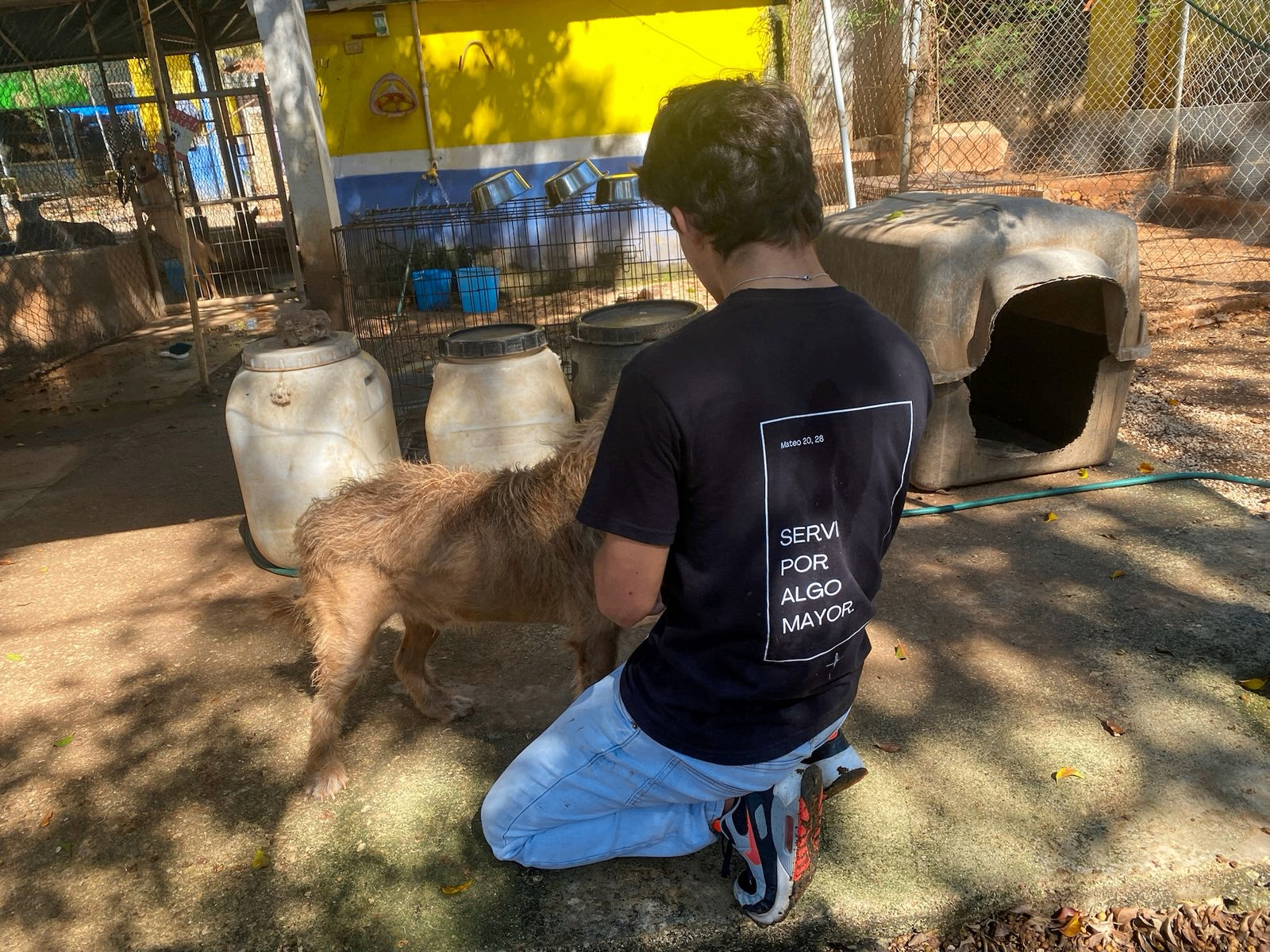 Evolución Animal